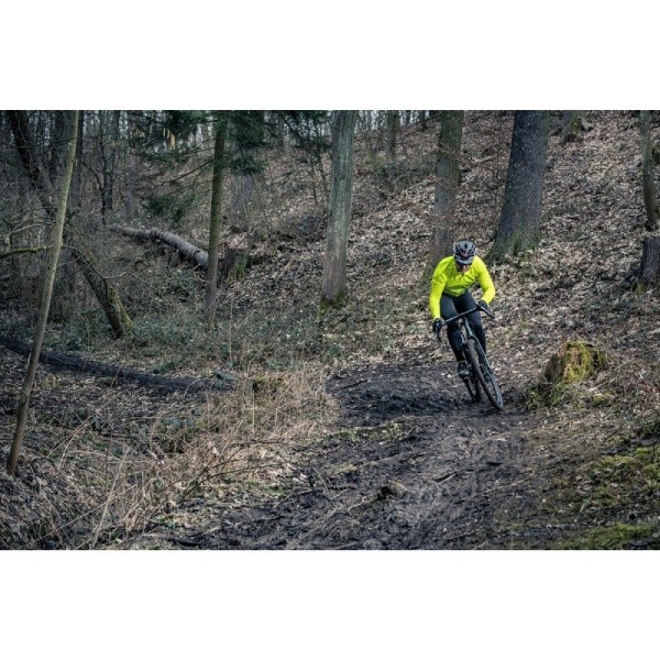 Silvini jakna z dolgimi rokavi Parina rumena